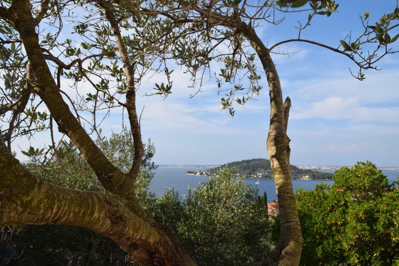 Apartment Halugica Kali Dış mekan fotoğraf